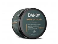 Vosk pro mokr vzhled vlas Dandy Water Pomade - 100 ml