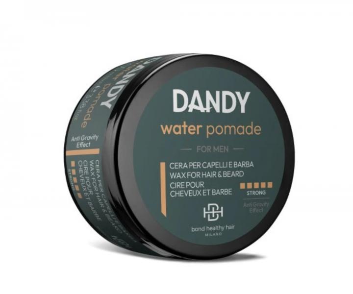 Vosk pro mokr vzhled vlas Dandy Water Pomade - 100 ml