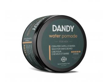 Vosk pro mokr vzhled vlas Dandy Water Pomade - 100 ml